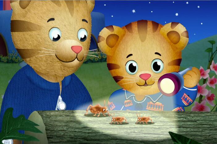 Daniel wants to find what's making those noises in the nighttime.