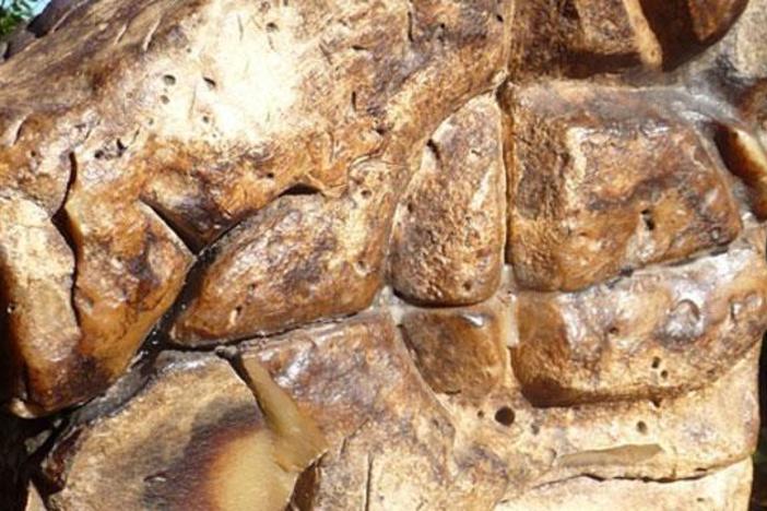Is this a piece of treasure from a Spanish galleon washed up on an Oregon beach?