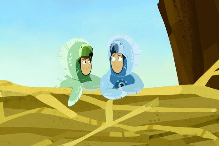 Dressed as a Bear, Courmand climbs a tree that has a Bald Eagle nest in it to take their e