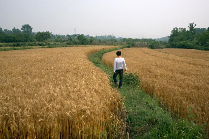 Yu walks around the farm that has inspired some of her poetry.