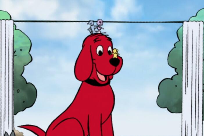 Mac discovers he has a special talent for writing. / The dogs learn to be themselves.