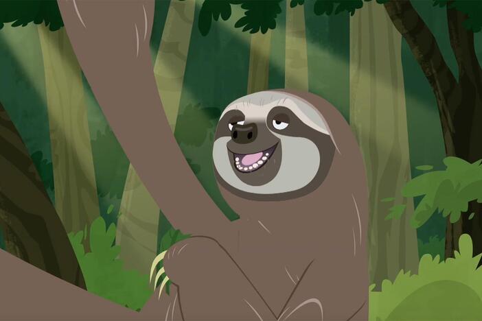 Chris and Martin encounter a sloth and Jimmy gets very excited about it!