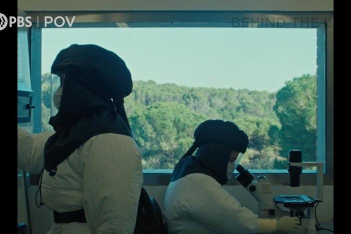 Anatomy of a Scene from Fauna with director Pau Faus.