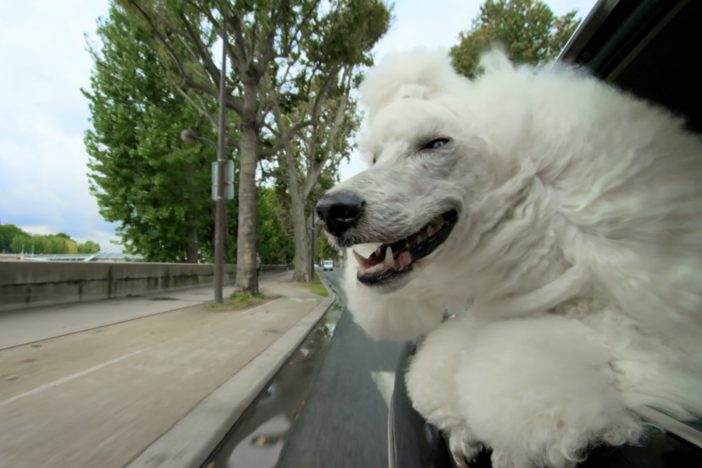 Premieres Oct 28, 2015 at 8/7c on PBS. Check your local listings. 