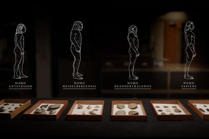 Stone tools reveal that four species of human have occupied Britain.