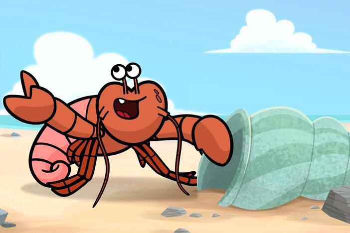Herbert the hermit crab is having a little shell trouble. His shell doesn’t fit anymore.