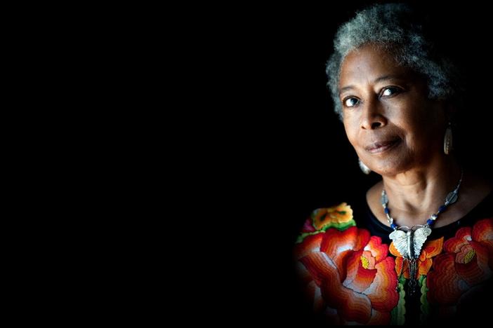 Alice Walker, winner of a Pulitzer Prize for Literature, is a writer and activist.