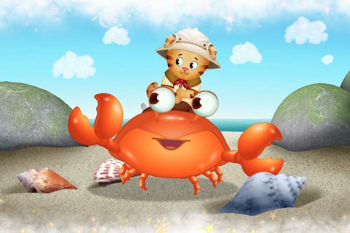 Daniel imagines that he's riding a crab on a beach!