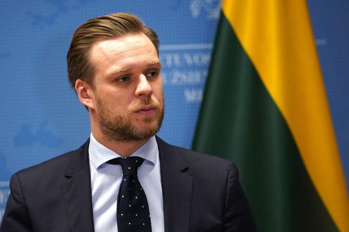 Lithuania's foreign minister discusses the ongoing Russian invasion of Ukraine