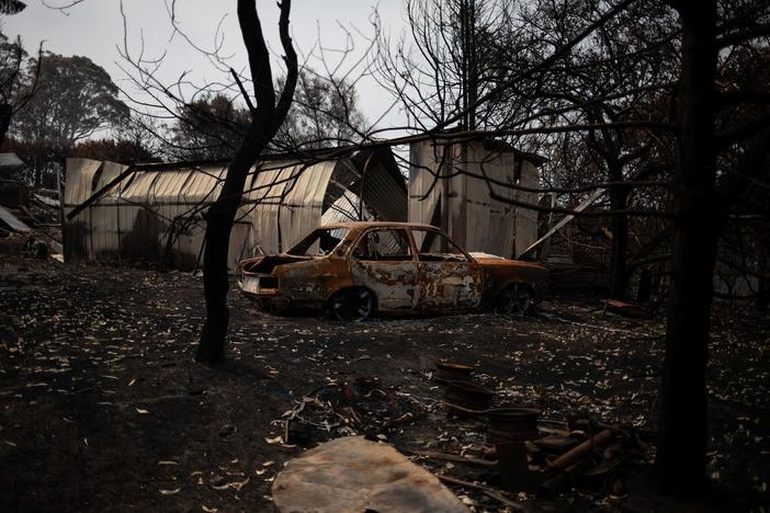 Australian ecosystems left vulnerable in wake of bushfire catastrophe