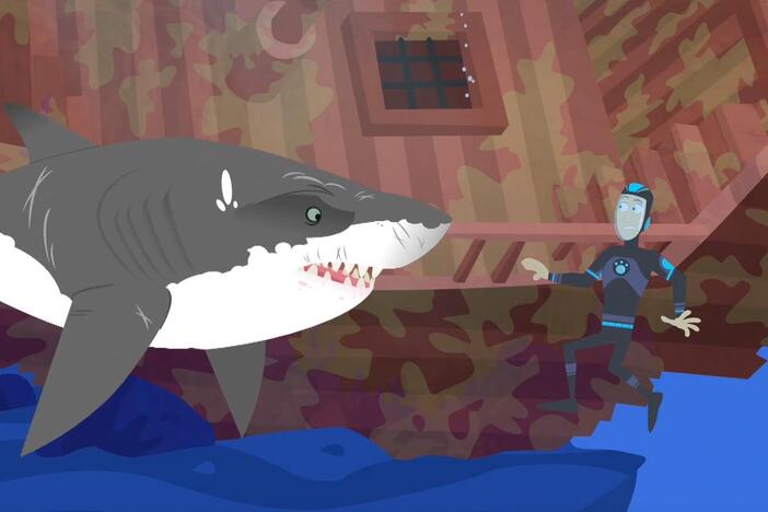 Martin faces trouble after encountering a shark, but is saved by a dolphin just in time!