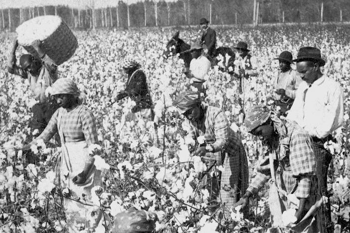 What 2020 Democrats think about reparations