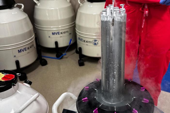 What Trump’s IVF executive order means for access to fertility assistance for Americans