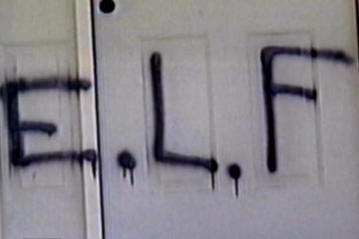 Do the ELF crimes fit the definition of terrorism?