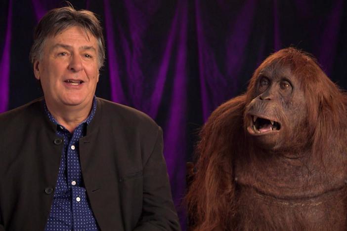 NATURE producers discuss the making of SPY IN THE WILD. 