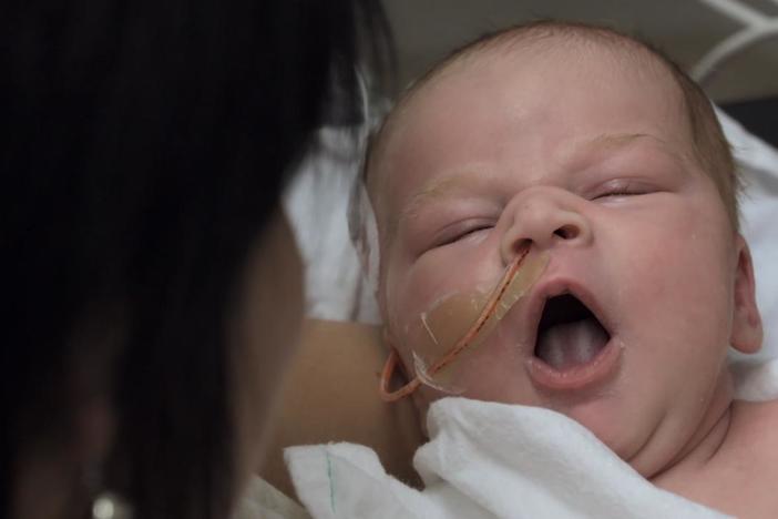 Born with a damaged heart, two-week-old Harlow needs a transplant.