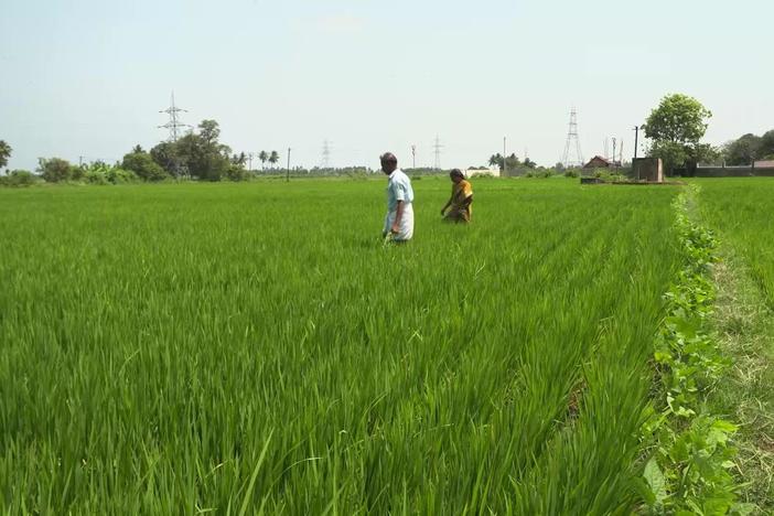 India faces challenge of feeding its people as it becomes world's most populous nation