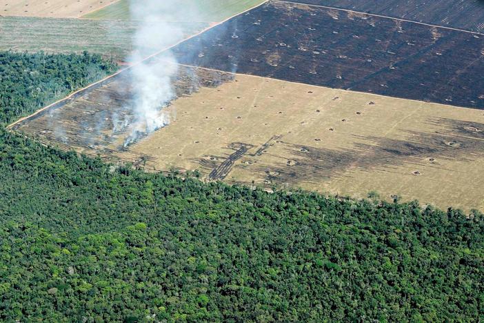 Will the Amazon rainforest’s chances improve with Brazil’s new leader?