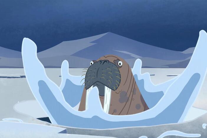 The walrus', Martin and Chris find themselves trapped under ice with limited air remaining