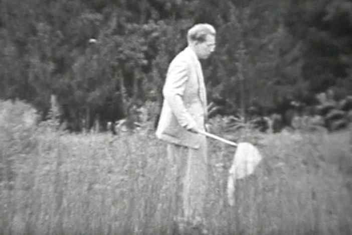Sergei Khrushchev in a field with a net, catching butterflies. Secret Service look on. 