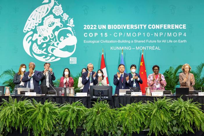How effective will UN biodiversity agreement be in saving species at risk?