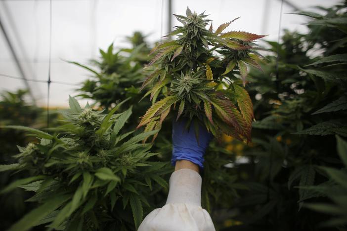 How upcoming state laws could make it to Washington next