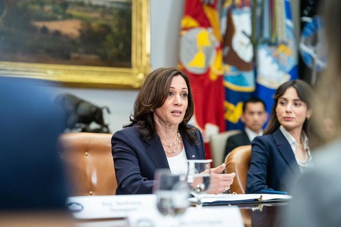 The panel discussed the departure of two of Vice President Kamala Harris’ senior aides.