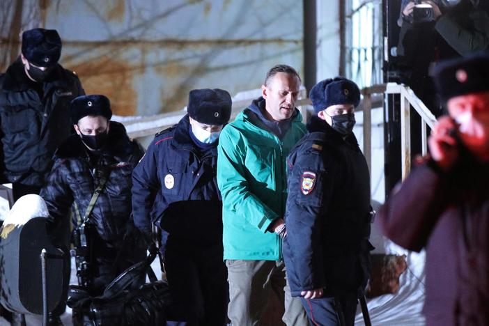 News Wrap: Russian opposition leader Alexei Navalny jailed for 30 days