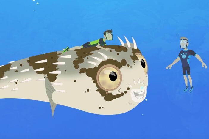 Martin and Chris try to find Blimpy the blowfish a new place to call home.