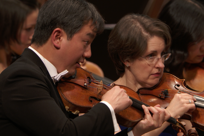 The New York Philharmonic, led by Jaap van Zweden, performs Strauss' subtle musical gem.