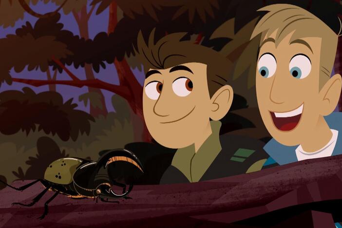 The bros accidentally enlarge a Hercules beetle!