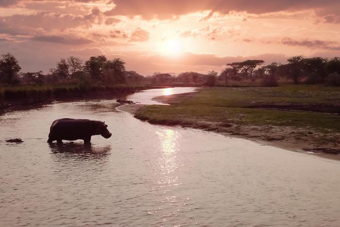 After the drought, the rains finally come. But can Katavi survive the flooding?