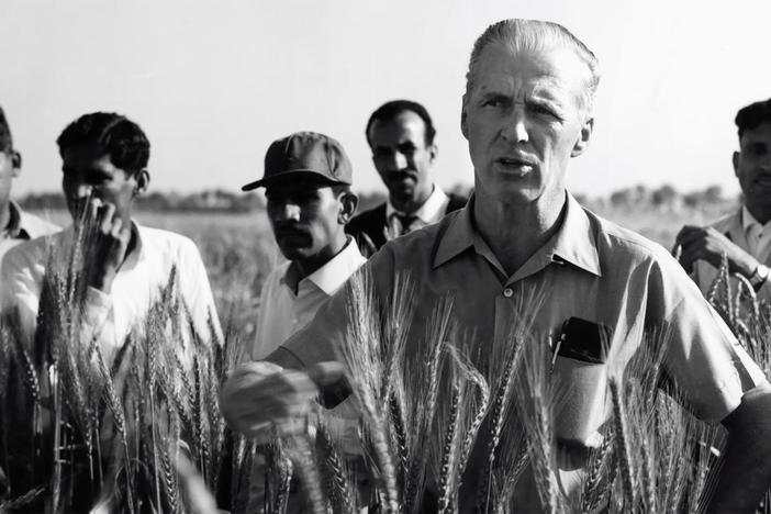 Story of the man who would lead a “Green Revolution” of worldwide agriculture programs.