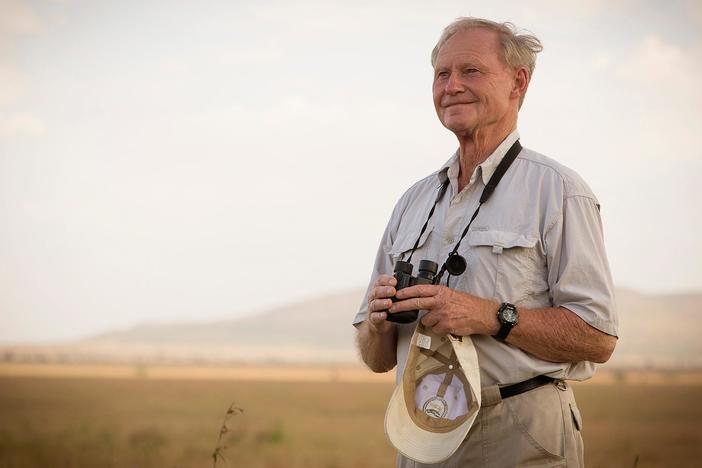Tony Sinclair arrived in the Serengeti in 1965, looking to study the wildlife.