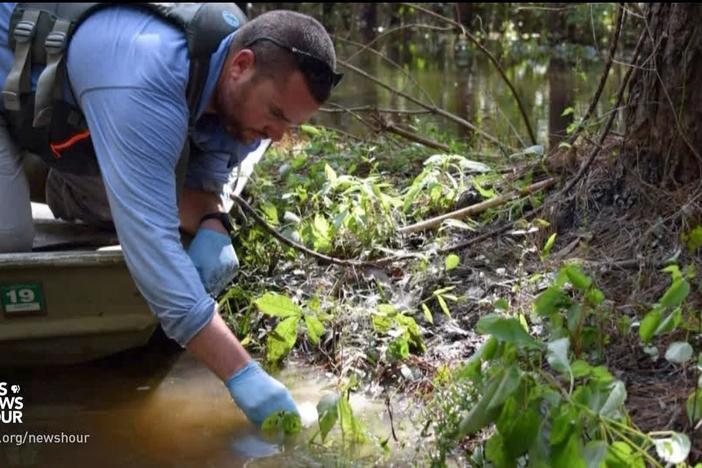 Contaminated Florence storm waters pose 'dire' threat, environmental group warns