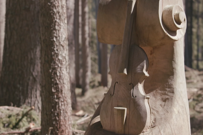 The fight to save an Italian forest prized by Stradivari