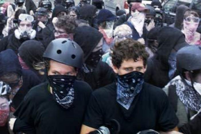 Two young protesters are accused of domestic terrorism
