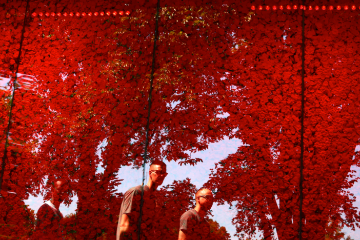 The 645,000 poppies honor the hundreds of thousands of fallen U.S. military members.