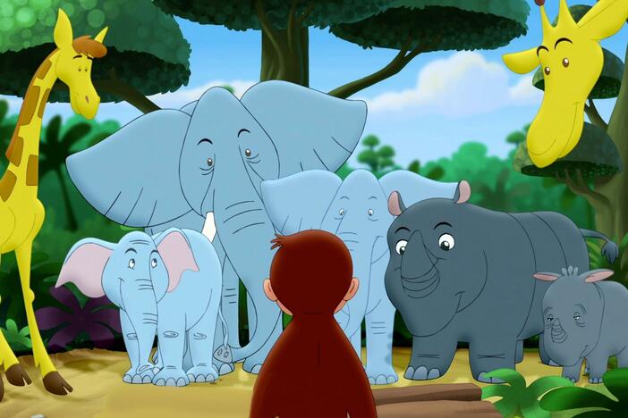 George uses music to gather his new jungle friends and ask for help.