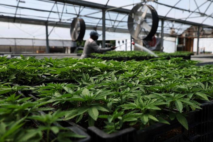 Biden pardons thousands convicted on federal marijuana charges