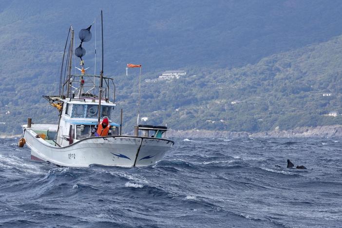News Wrap: Remains of 5 crew members recovered from wreckage of Osprey crash off Japan
