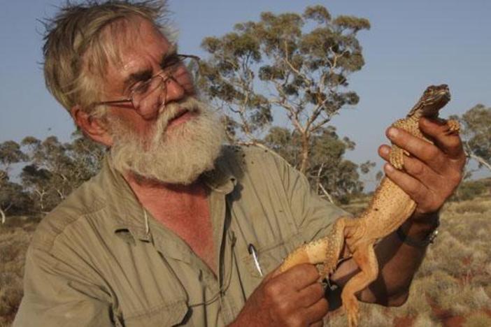 Meet the monitors, the largest, fiercest, and craftiest lizards on Earth.