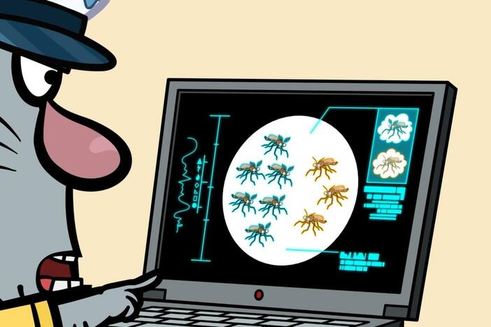 Nature Cat nature chats all about midges!