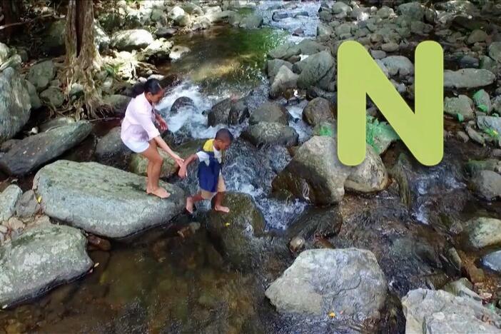 N is for Nature! What can you see while on a nature walk?