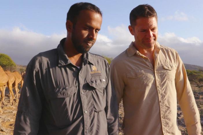 The deserts of southern Oman are home to one of the most elusive big cats on Earth.