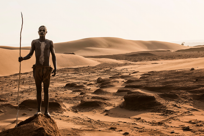 Examine research that suggests we humans are patchwork species of hybrids.