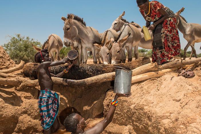 See how sharing water with wildlife may be a critical step in our own survival.