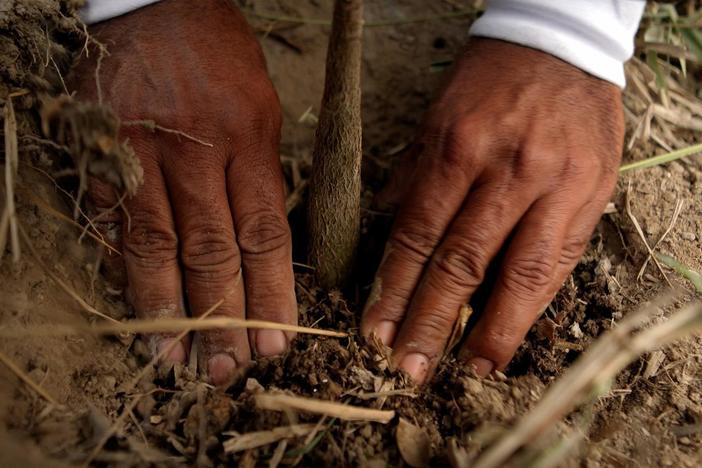 In Brazil’s Atlantic Forest, Mauricio Ruiz has turned his love for nature into action.