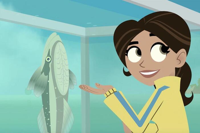 Aviva sees how Remora fish use the suckers on their body to stick to different surfaces. 