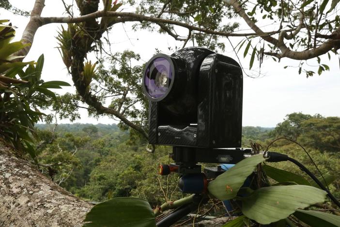 Go undercover in the untouched Amazon jungle to meet some of the most incredible creatures